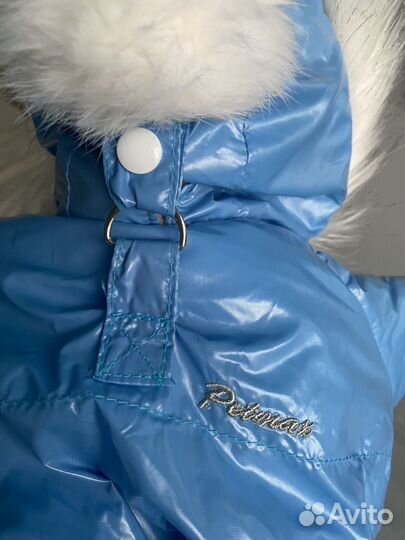 Комбинезон для собак мелких пород