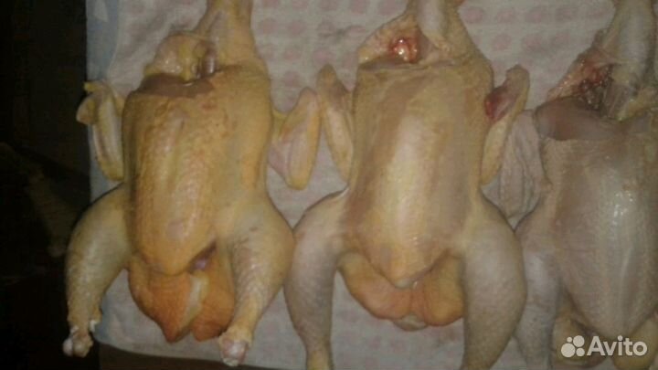 Мясо курицы домашнее