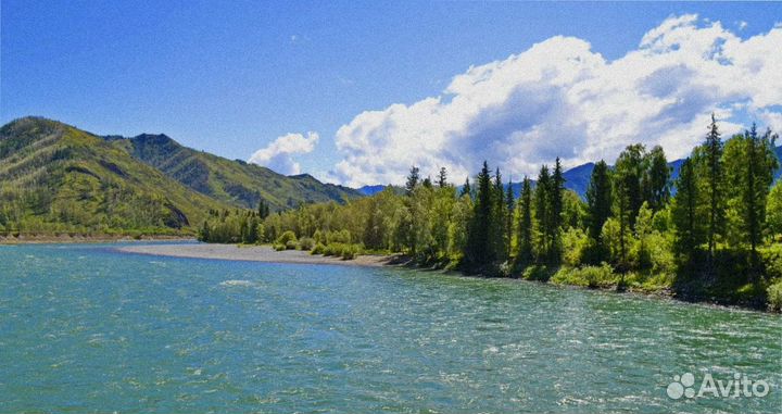 Турпутевка на Алтай летом экскурсия 4-7 дней