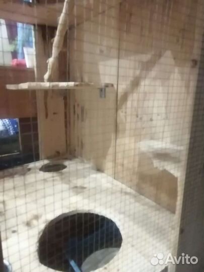 Клетка для шиншиллы