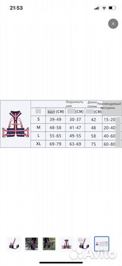 Шлейка для собаки инвалида, поддержка