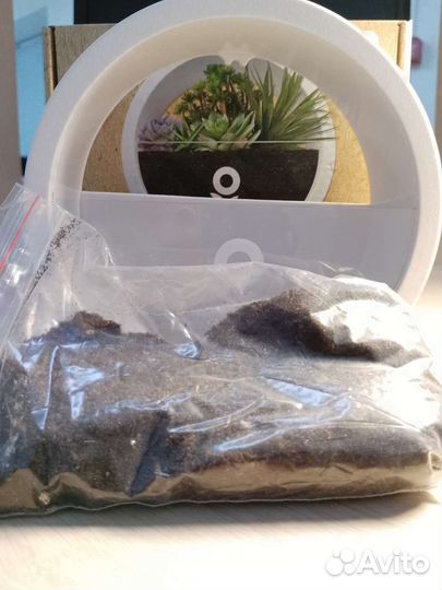 Панно набор для растений