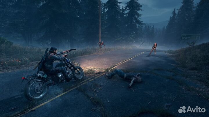 Days Gone (Steam, Россия)