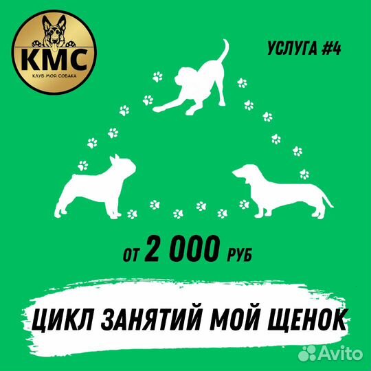 Дрессировка собак. Кинолог