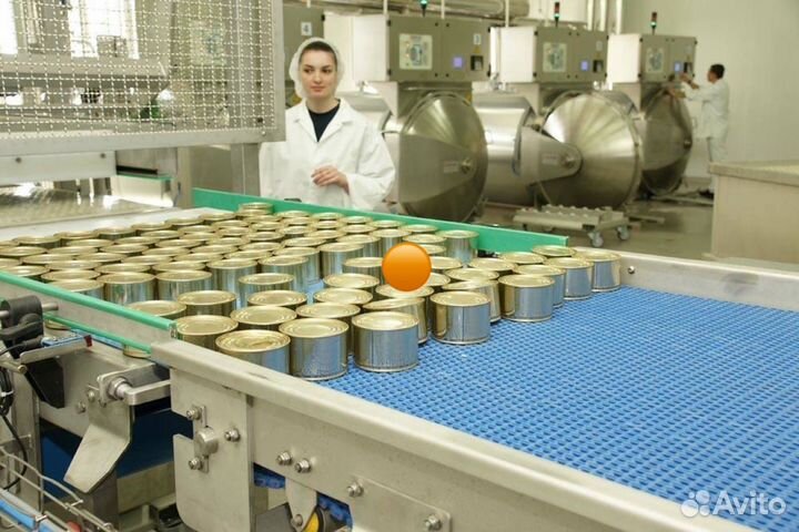 Разнорабочие на производство консервов