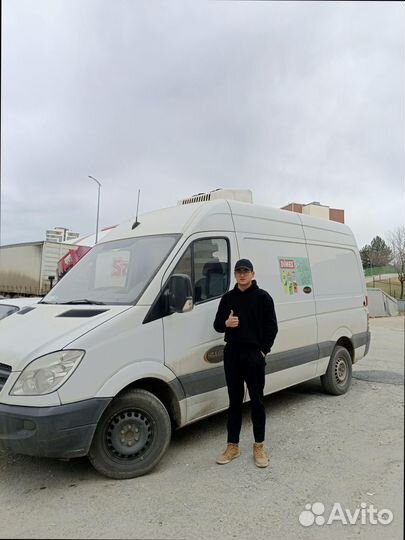 Грузоперевозки, сборные грузы