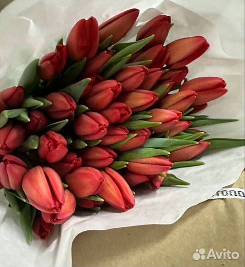 Тюльпаны к 8 марту