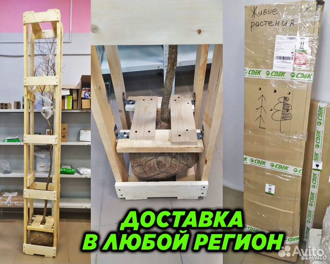 Травосмесь универсальная 10кг