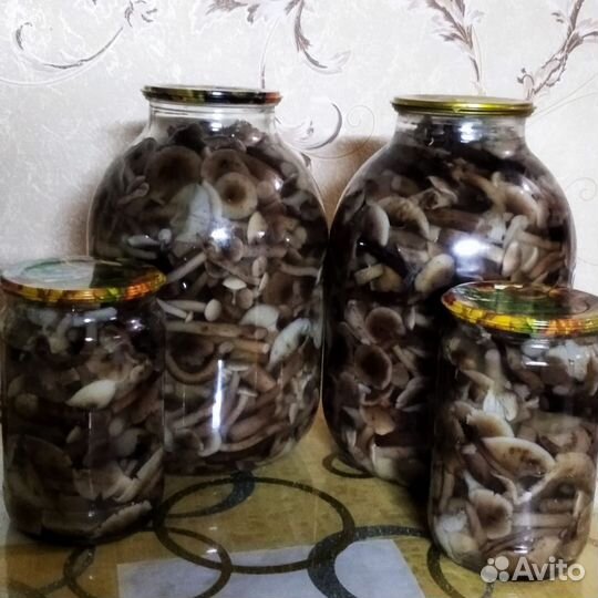 Грибы опята, грузди маринованные