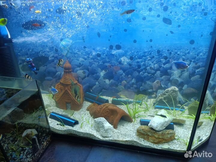 Аквариум