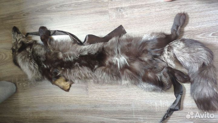 Шкурка животного