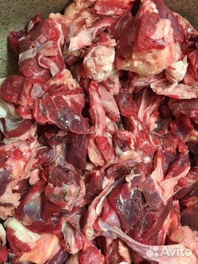 Мясо для собак