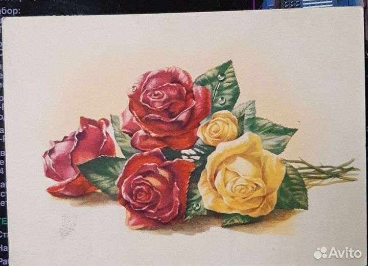 Редкая: Розы художника Е. Гундобина