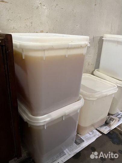 Натуральный мёд (подсолнух)