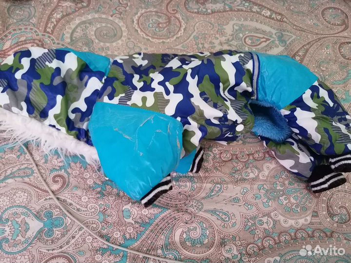 Одежда для собак