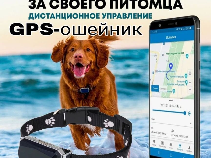 Gps ошейник для собак и кошек