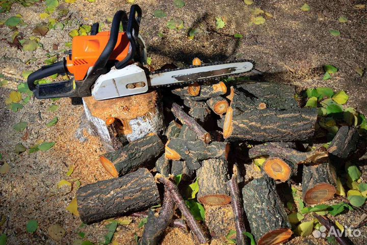 Спил деревьев