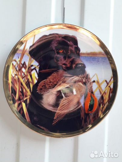 Фарфоровая тарелка