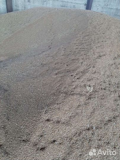 Овёс, пшеница