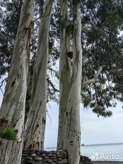 Горничная в частный дом