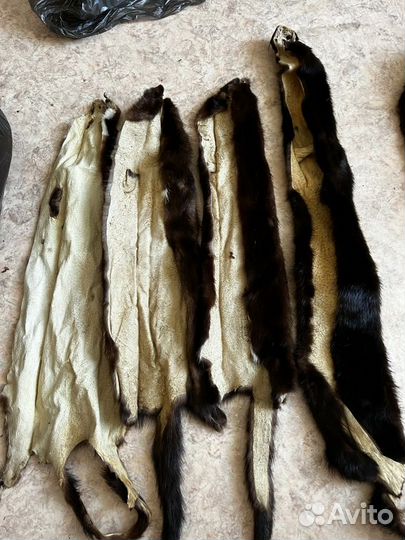 Мех, шкурки