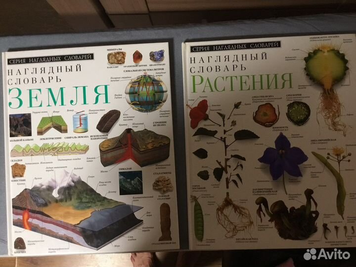 DK очевидец Религия, Птица