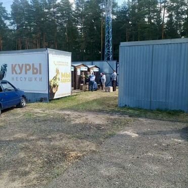 Магазин живой птицы