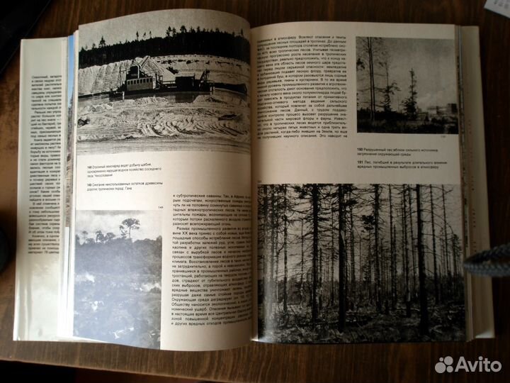 Иллюстрированная энциклопедия лесов