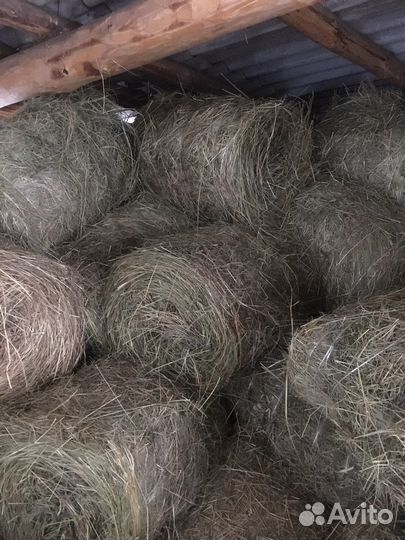 Сено в рулонах