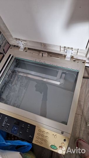 Мфу xerox workcentre 5016