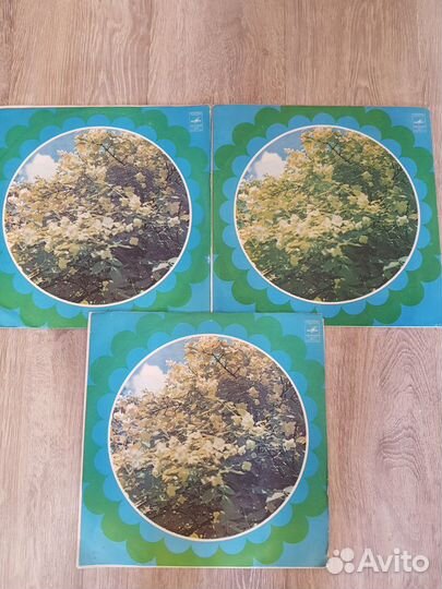 Звуковой самоучитель английской разговорной речи