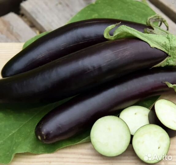 Рассада баклажан