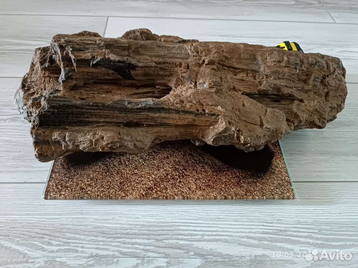 Окаменелое дерево