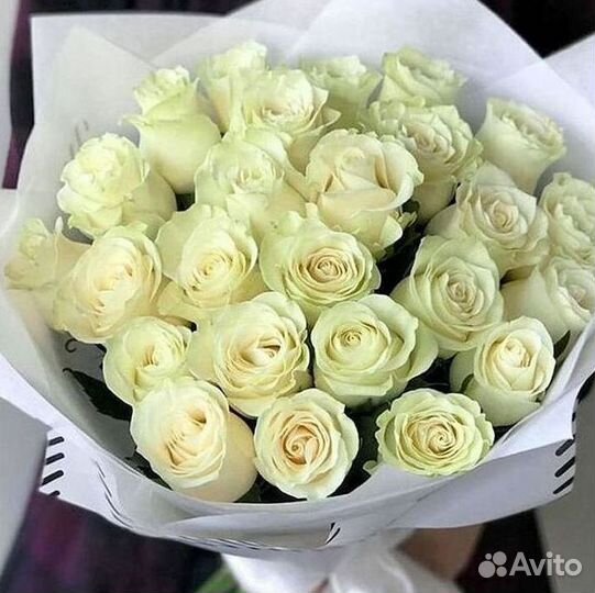 Высокие розы Гигантские розы 110