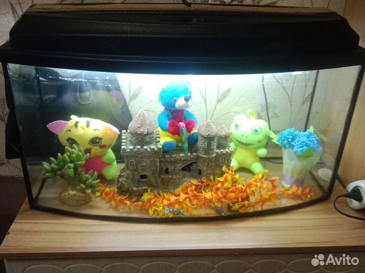 Аквариум для рыбок