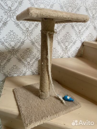 Когтеточка для кошек