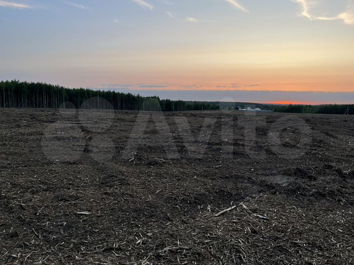 Участок 15,3 сот. (СНТ, ДНП)