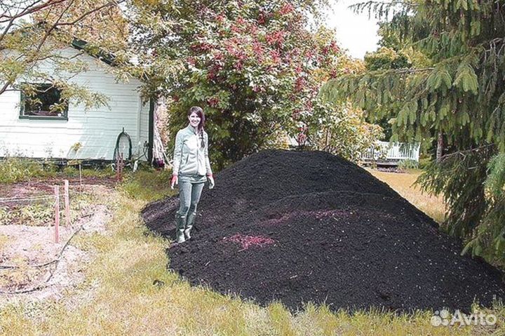 Суглинок. чек-59/38