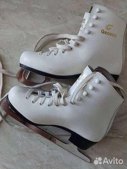 Коньки geneva graf 36