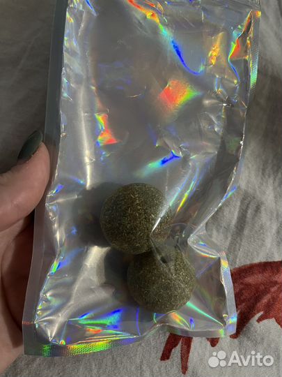 Кошачья мята