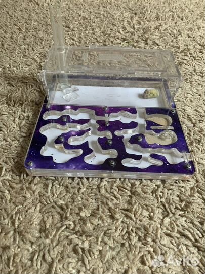 Муравьиная ферма