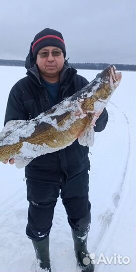 Рыбалка с гидом на Селигере