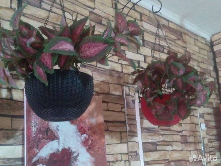 Искуственные цветы с горшком можно по отдельности