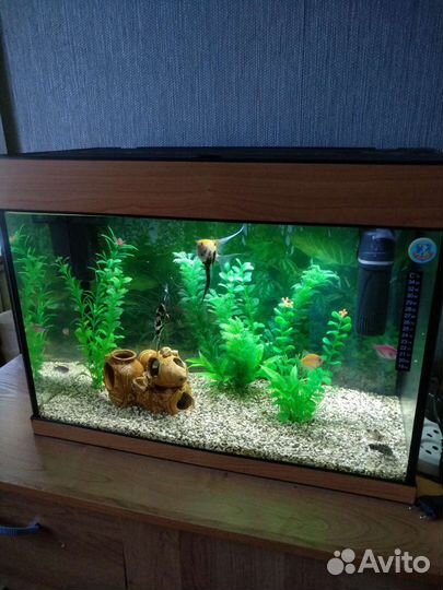 Аквариум