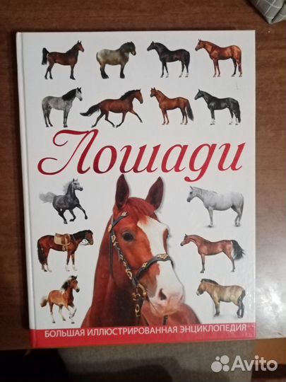 Книга про лошадей