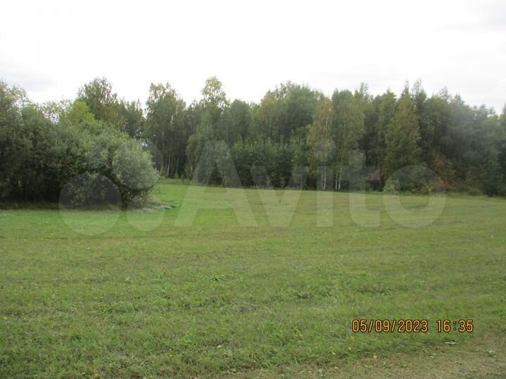 Участок 55 га (СНТ, ДНП)