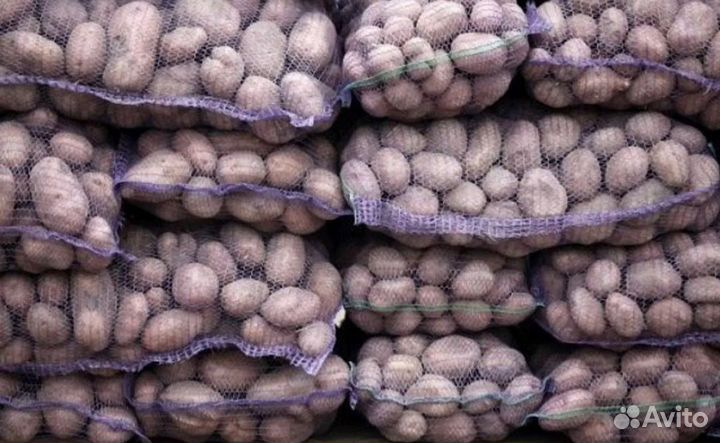 Продам картофель домашний