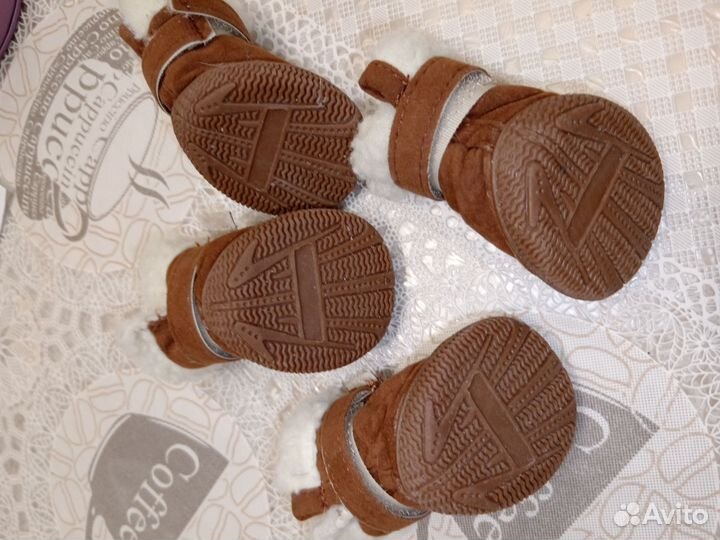 Товары для мелких пород собак