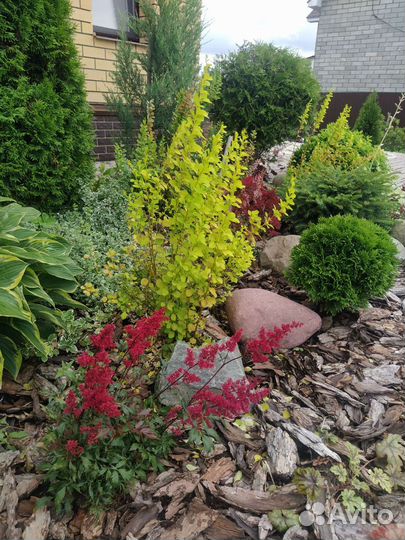 Сад.благоустройство