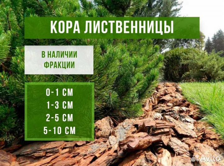 Кора лиственницы